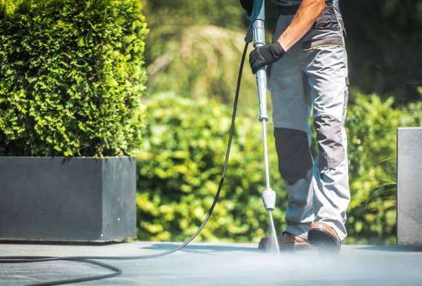 Best Roof Washing  in Grant City, MO